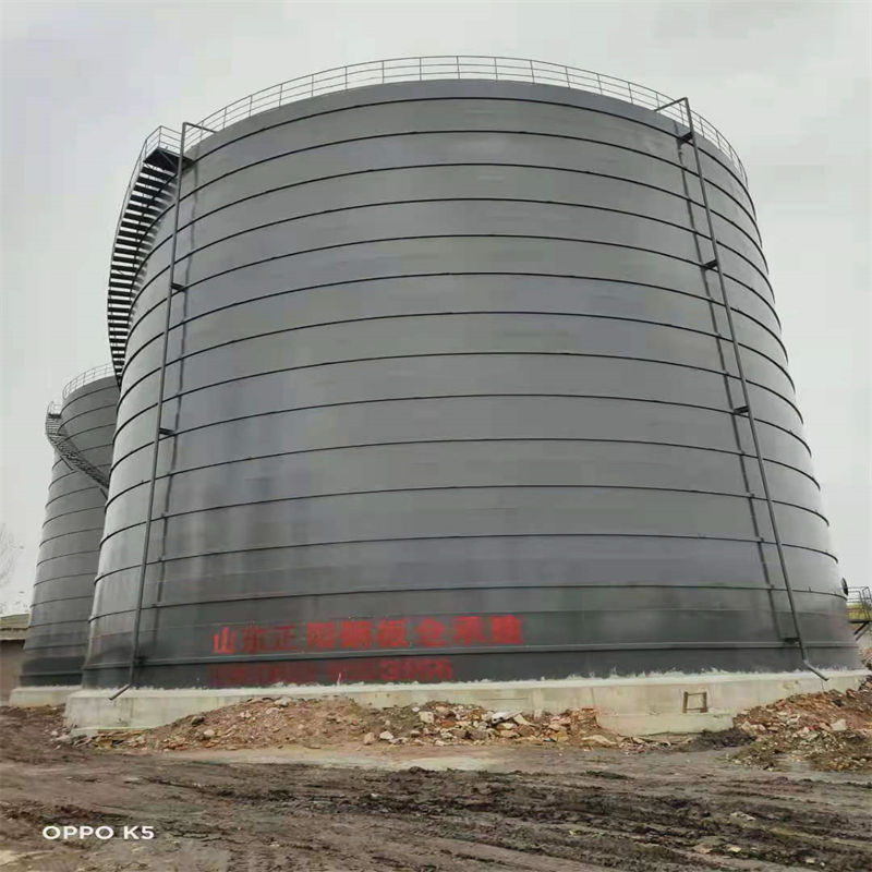 界首3万吨大型钢板库