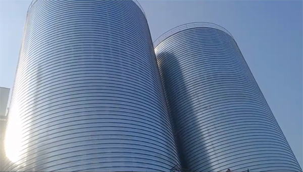 界首2座混凝土高架卷板仓